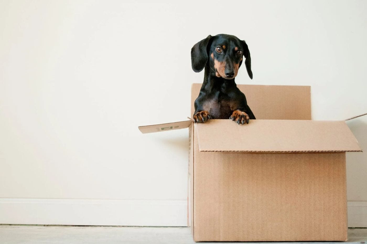 4 Tips on How PAM Finds World Class Residents